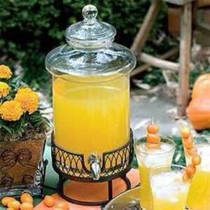 Southern Living Clear Glass Beverage Dispenser with Iron Holder